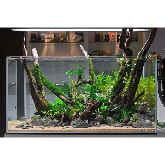 Phân Nền Thủy Sinh Akadama Supreme