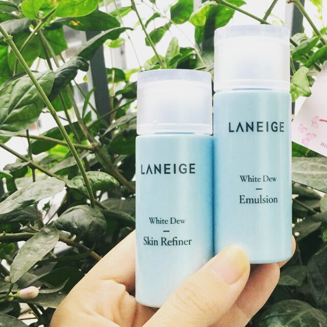 Nước Hoa Hồng Dưỡng Trắng Da Cao Cấp Laneige White Dew Skin Refiner 25ml