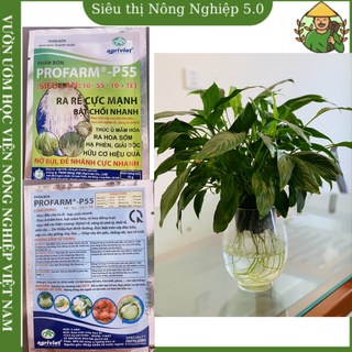Phân bón profarm - p55, siêu lân 10-55-10 + te siêu ra rễ, phân lân profarm bật chồi cực nhanh, siêu kích rễ 20gr