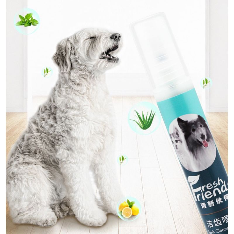 Xịt thơm miệng chó mèo 14ml