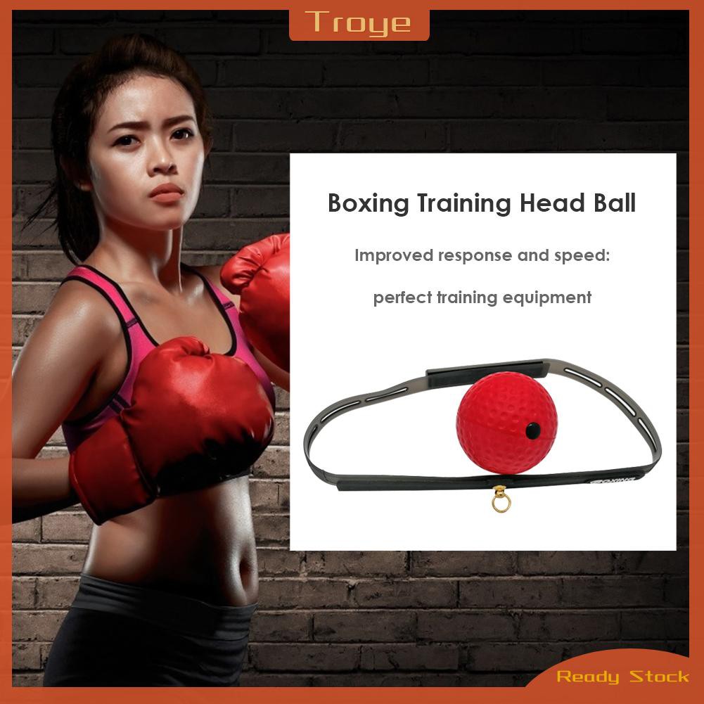 Bộ 3 Bóng Cao Su Tập Đấm Boxing