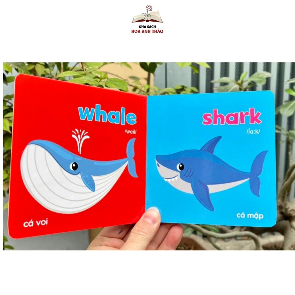 Sách Bìa cứng thư viện hình ảnh đầu tiên cho bé Baby' First Picture Book  - Kèm file video tiếng Anh