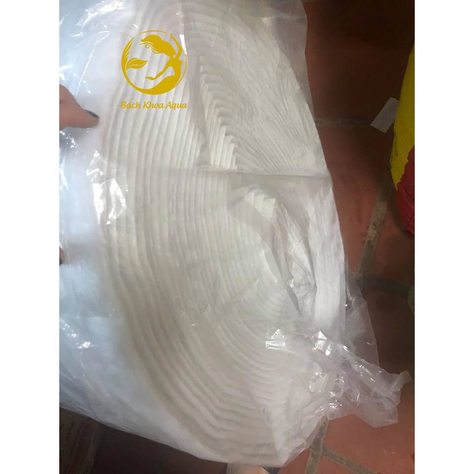 Bông lọc bể cá chuyên dụng