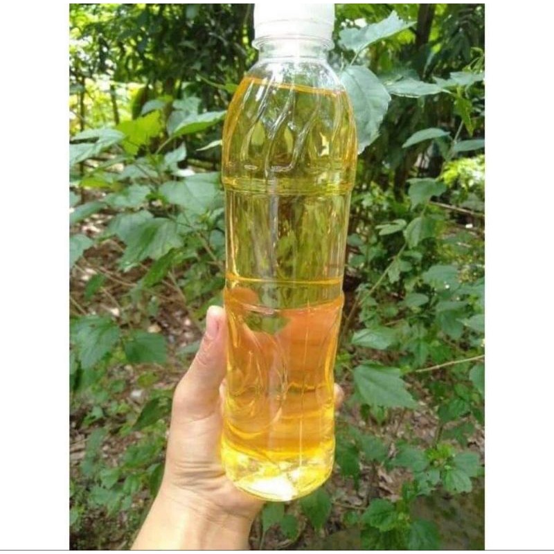 Tinh Dầu Sả/Quế Mường Tè 100ml