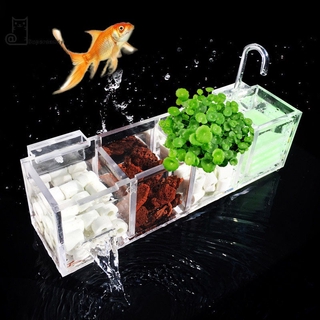 Hộp Lọc Nước Cho Bể Cá Cảnh
