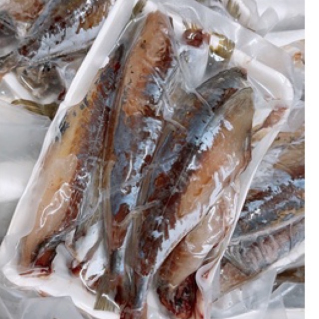 cá nục phơi héo - cá nục nướng than hoa thơm ngon - DTFoods(CHUYÊN SỈ)