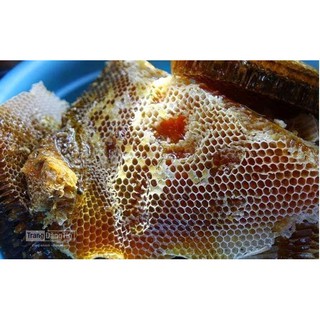 Mật ong rừng 500g