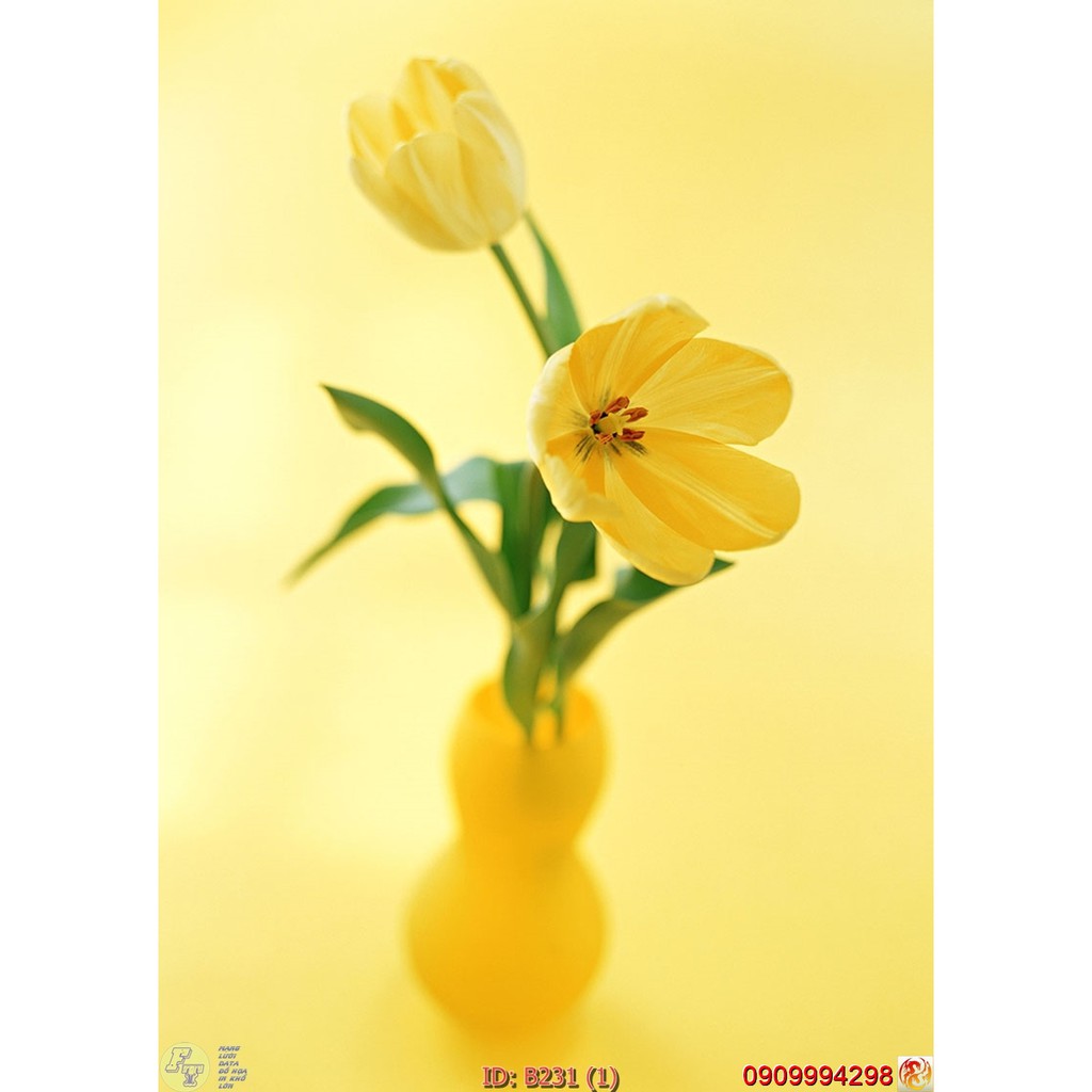 TRANH DÁN TƯỜNG 3D BÌNH HOA, LO HOA NHIỀU MẪU