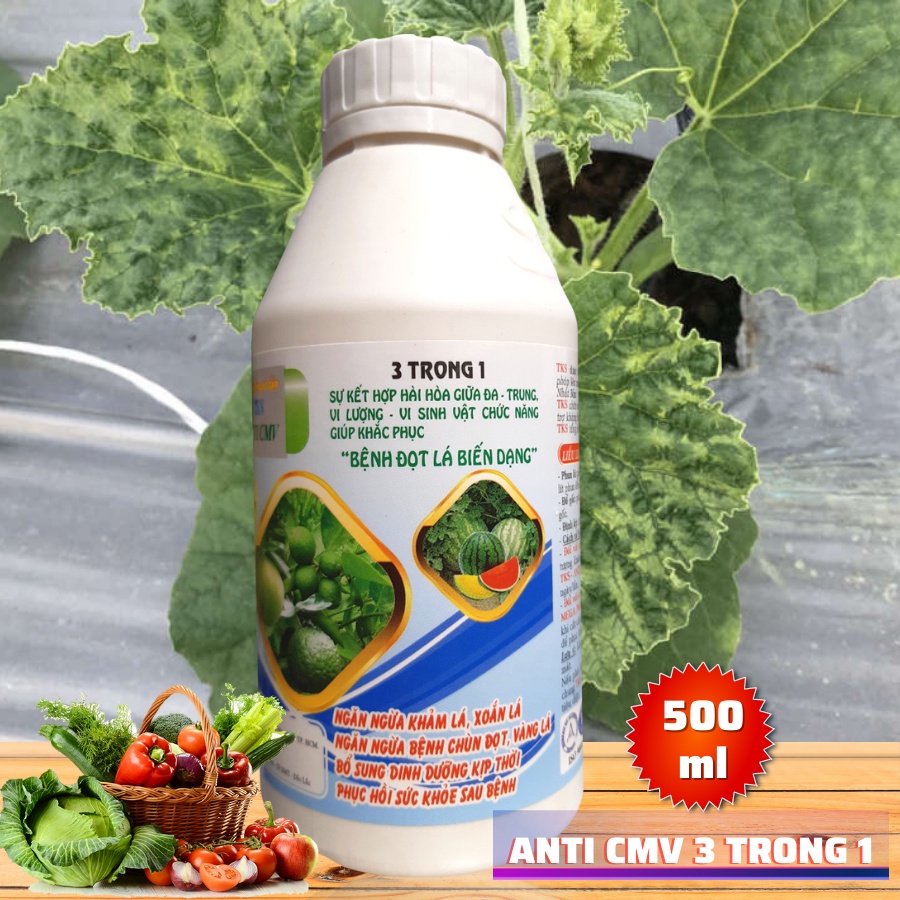 Thuốc TRỪ KHẢM LÁ, Xoăn Ngọn , Sượng Trái  AntiCMV 3 Trong 1 - Chai 500ml