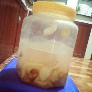 Gừng kích ki và làm rễ  cho Hoa Lan 250ml.