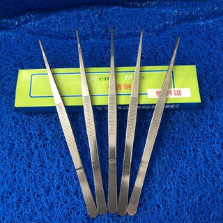 Nhíp trần trồng cây thủy sinh kích thước 20/30cm
