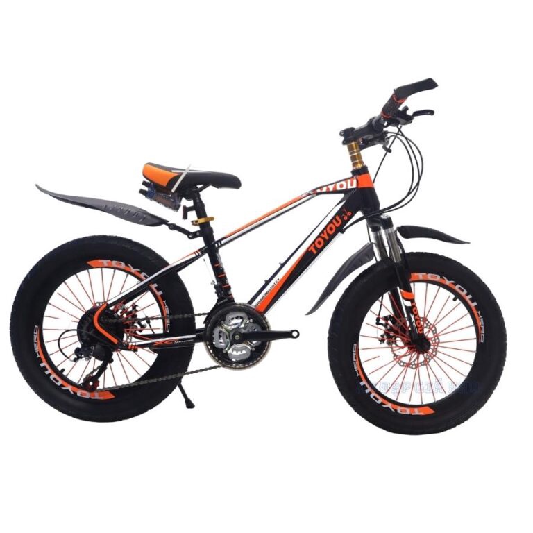 Xe Đạp Trẻ Em 20 Inch TOYOU Ty – 27 Có Đề Bánh Béo