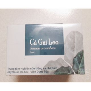 Trà túi lọc cà gai leo