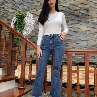 Combo quần si tuyển 4600.02