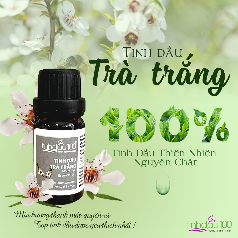 Tinh dầu trà trắng nguyên chất white tea Tinh Dầu 100 xông thơm phòng, ngâm bồn, massage thư giãn, ngủ ngon lọ 10ml