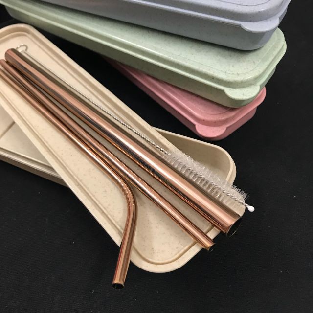 (Hàng loại 1, dày & nặng) Bộ 3 ống hút inox đủ loại kèm 1 cọ rửa và Hộp đựng | BigBuy360 - bigbuy360.vn