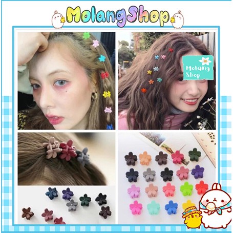 Set 5 Kẹp tóc mini hình bông hoa -  Kẹp Tóc Họa Tiết Hoa Mini Dễ Thương  Molangshop