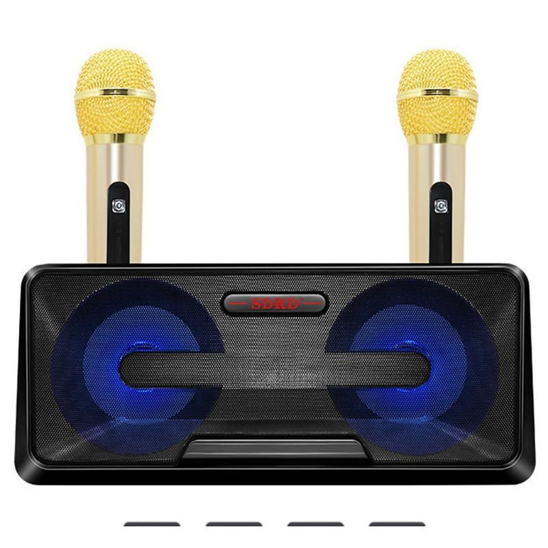 Loa hát karaoke SD301 kèm 2 mic không dây.