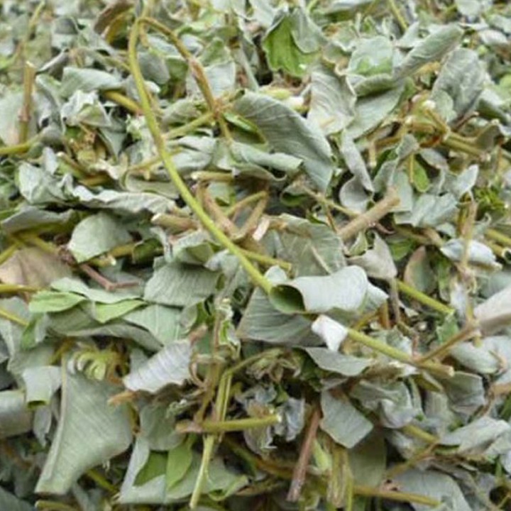 500gr kim tiền thảo