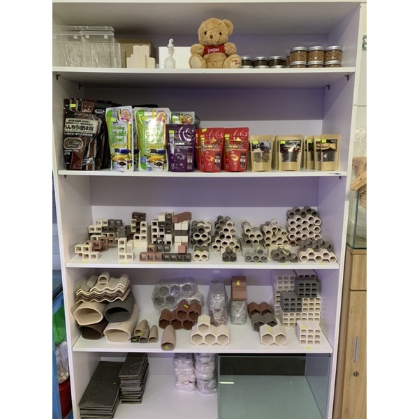 Hang Pleco “HANG 4 LỖ - 80k”