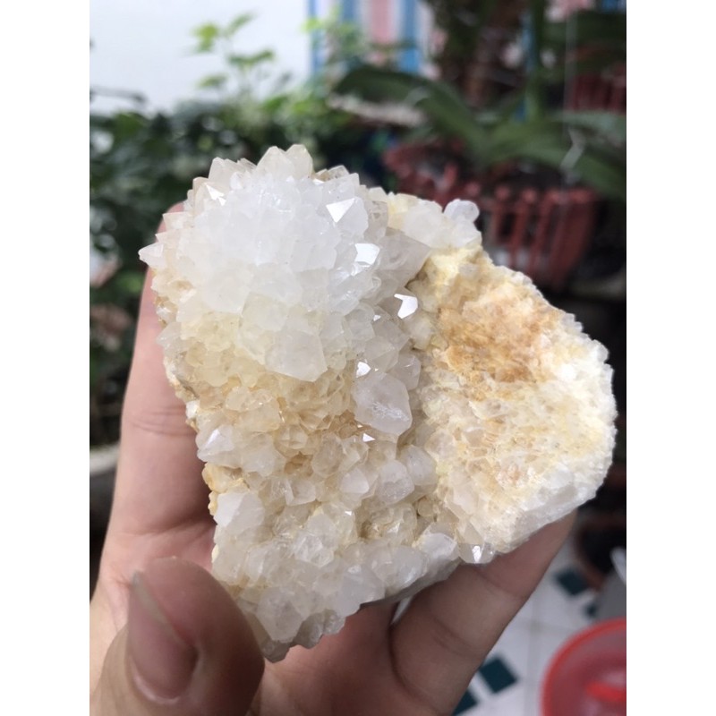 Cụm tinh thể 100k