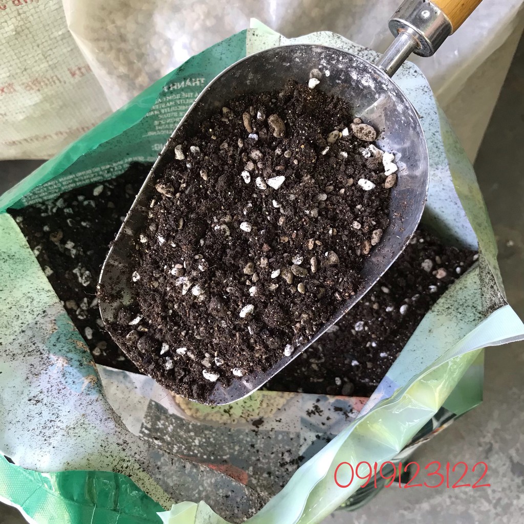 Đất trồng sen đá xương rồng cao cấp, siêu rẻ túi 1kg