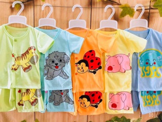 Combo 25 bộ ba lỗ đại