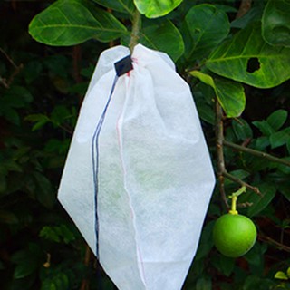 (10 Cái) Túi bọc trái cây Size 18x18cm 18x27cm 30x35cm bằng vải không dệt - Chuyên dùng túi bao đủ loại trái cây