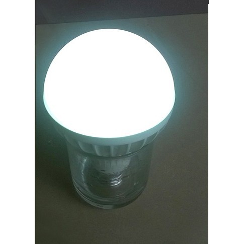 BÓNG ĐÈN LED TÍCH ĐIỆN 12W (shop phamvietkhoa.khoi)