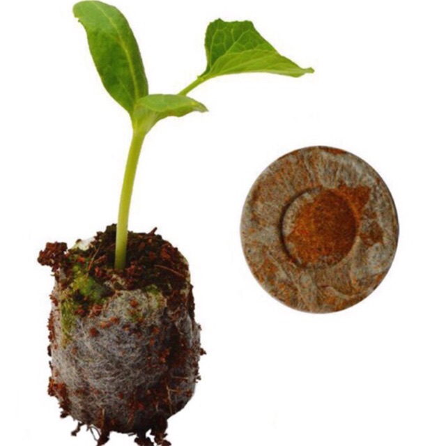 20 Viên Nén Kích Thích Nãy Mầm, bầu nén xơ dừa ươm hạt - Nở 6cm