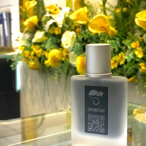 Gentley Grey Storm - Nước hoa chế tác Con Mèo Đất