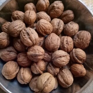 Óc chó đỏ 300g