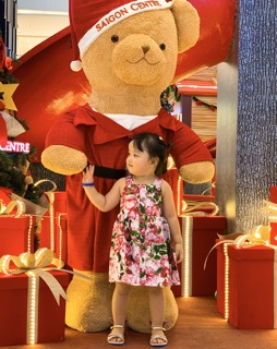 Đầm 2 dây hoa hồng D&G