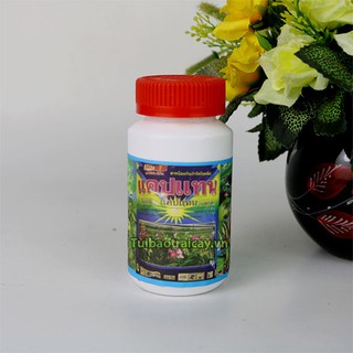 Thuốc Captan đặc trị thối nhũn cho lan hàng Thái Lan 50g - T124