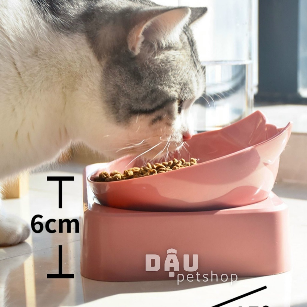 Bát ăn đôi có chỗ gắn bình tự động cho chó mèo nhỏ