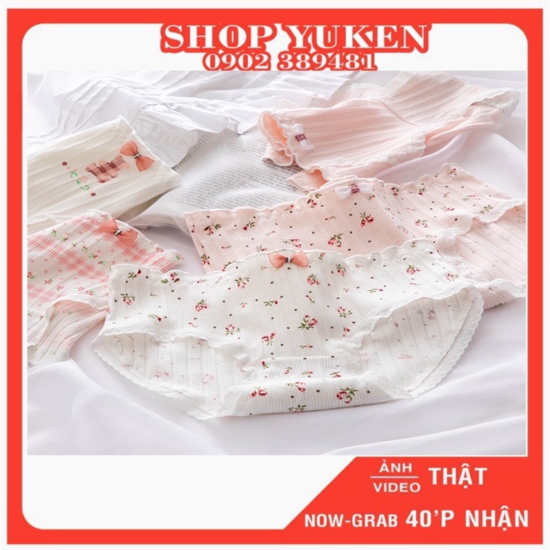 ♥️ Quần Lót Nữ ♥️ Combo 5 quần lót học sinh sinh viên chất cotton dễ thương hoa hồng nhí