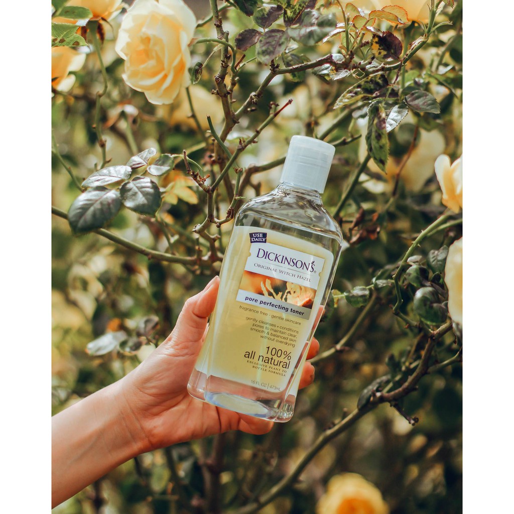 Nước Hoa Hồng Se Khít Lỗ Chân Lông, Giảm Mụn DICKINSON Toner Pore Perfecting | BigBuy360 - bigbuy360.vn