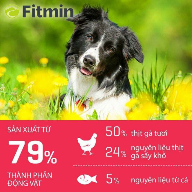Thức ăn cho chó con FITMIN Medium Puppy bao 3kg