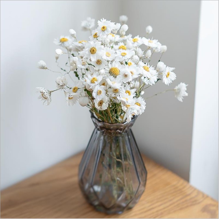 【TAILORLE】Hoa đơn điểu khô trang trí decor nhà cửa, làm hộp quà tặng, tranh hoa khô treo tường