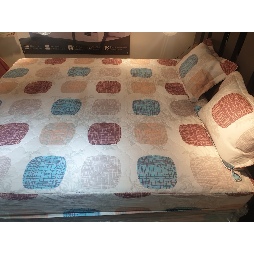 Bộ ga chun cotton Everon SR18