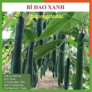 Hạt giống bí sặt ( bí đao xanh nova) quả dài, gói 20 hạt, rau củ quả trồng ban công, sân thượng.