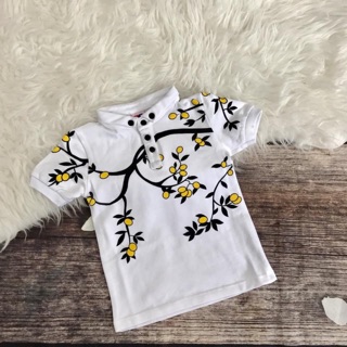 Áo thun cá sấu hàng shop sịn bé trai