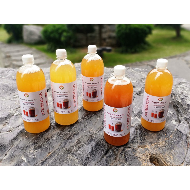 KOMBUCHA SENCHA TEA - HỮU CƠ/CHAI NHỰA - RẺ - TIỆN DỤNG (Nguyên Chất Thô - chuyên dùng cho pha chế )