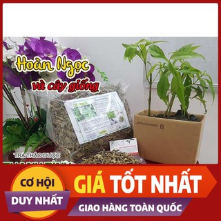 Cây hoàn ngọc khô 1kg loại cao cấp - thảo dược thanh bình