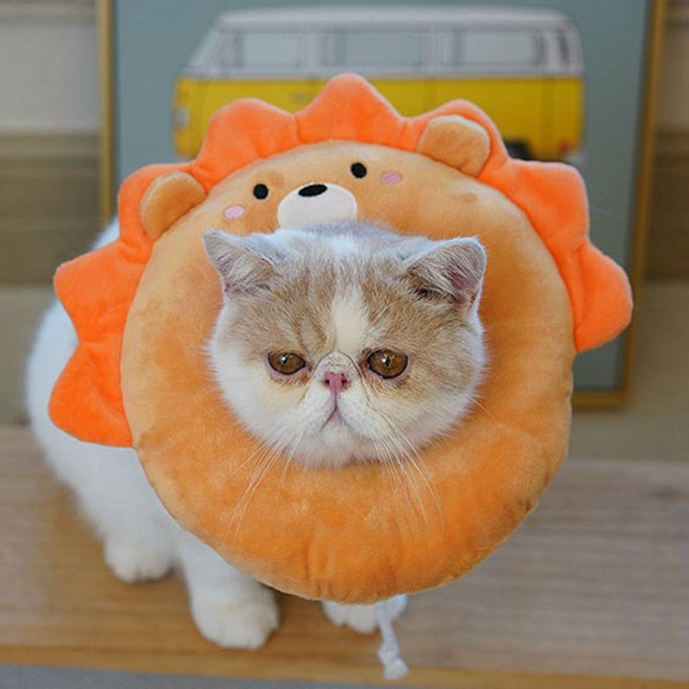 Vòng Cổ Hình Nón Tròn Ngăn Chặn Cắn Vết Thương Cho Thú Cưng