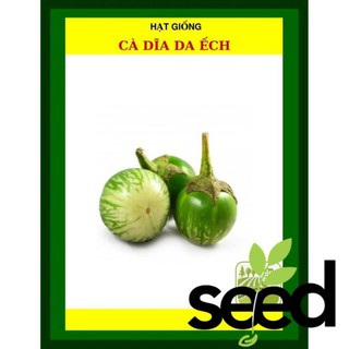 1G - Hạt Giống Cà Dĩa Da Ếch