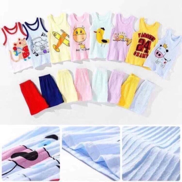Cotton giấy