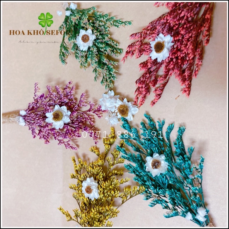Bó hoa sao khô mini ❤️Bó hoa khô mini trang trí, decor chụp ảnh