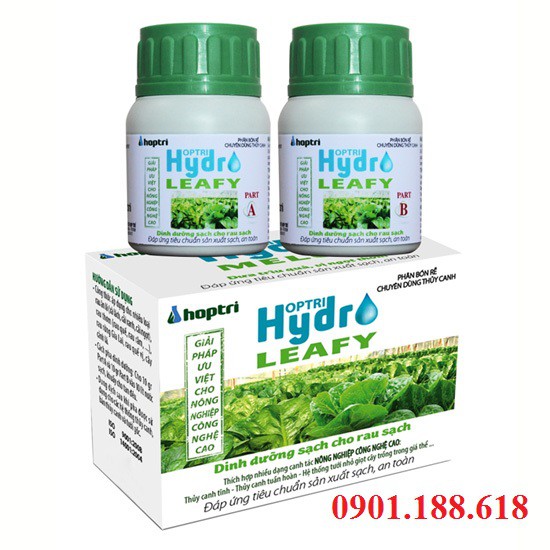 Dinh dưỡng Rau Ăn Lá Hydro Leafy (A+B) 200gr