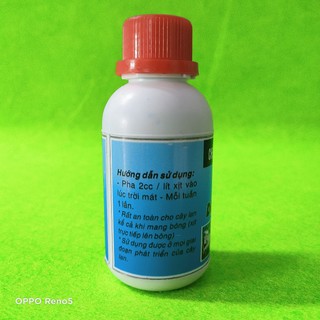 DỊCH RONG BIỂN - BÁO HỶ 100ml